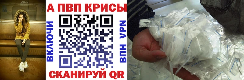A PVP СК блэк спрут ссылка Гатчина