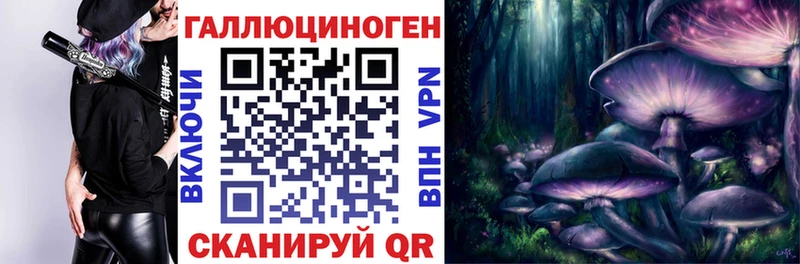 как найти закладки  Гатчина  Галлюциногенные грибы ЛСД 
