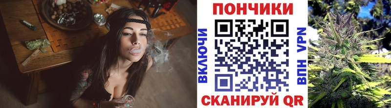 Канабис Bruce Banner  цены   Гатчина 